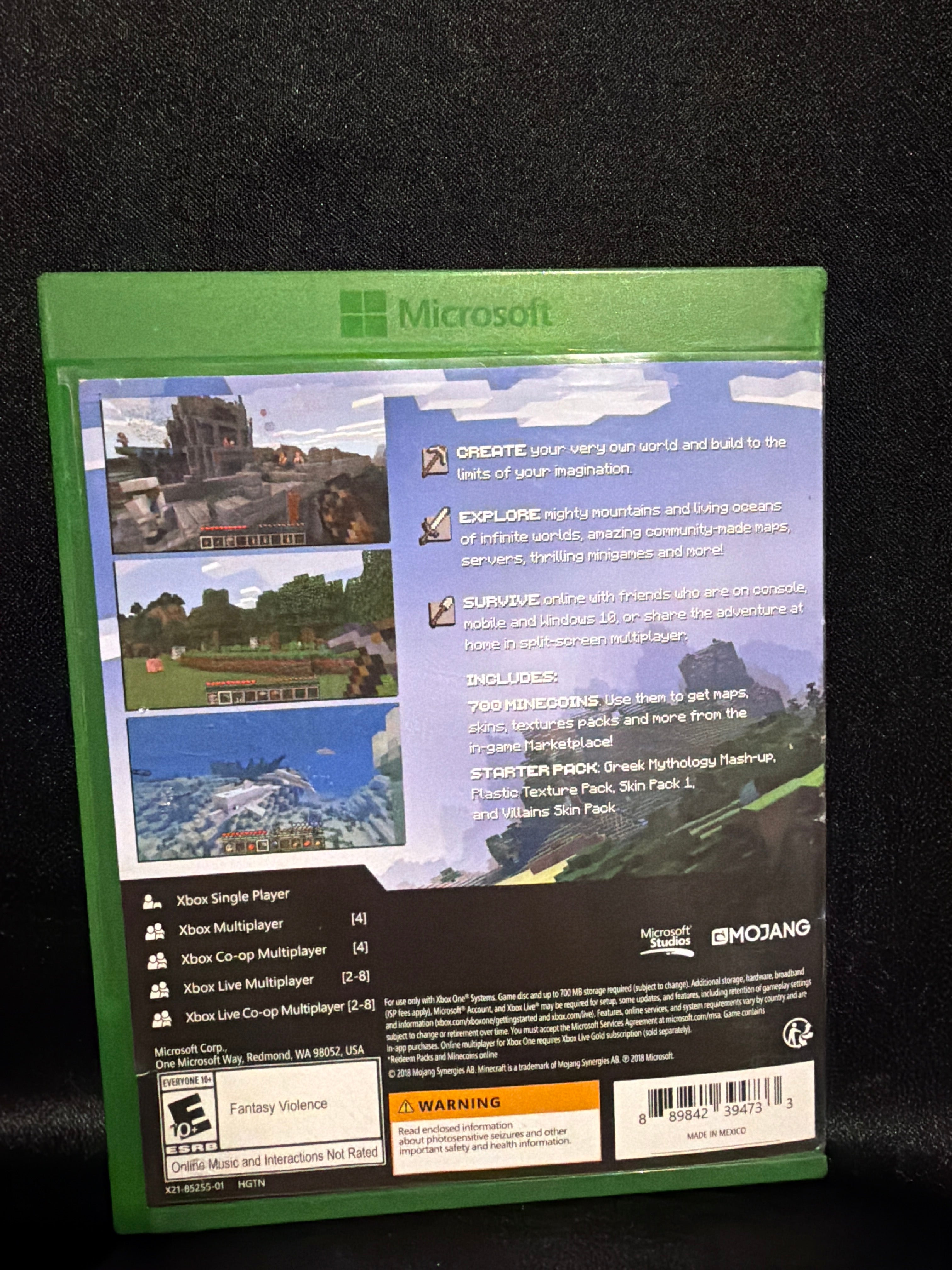 Minecraft